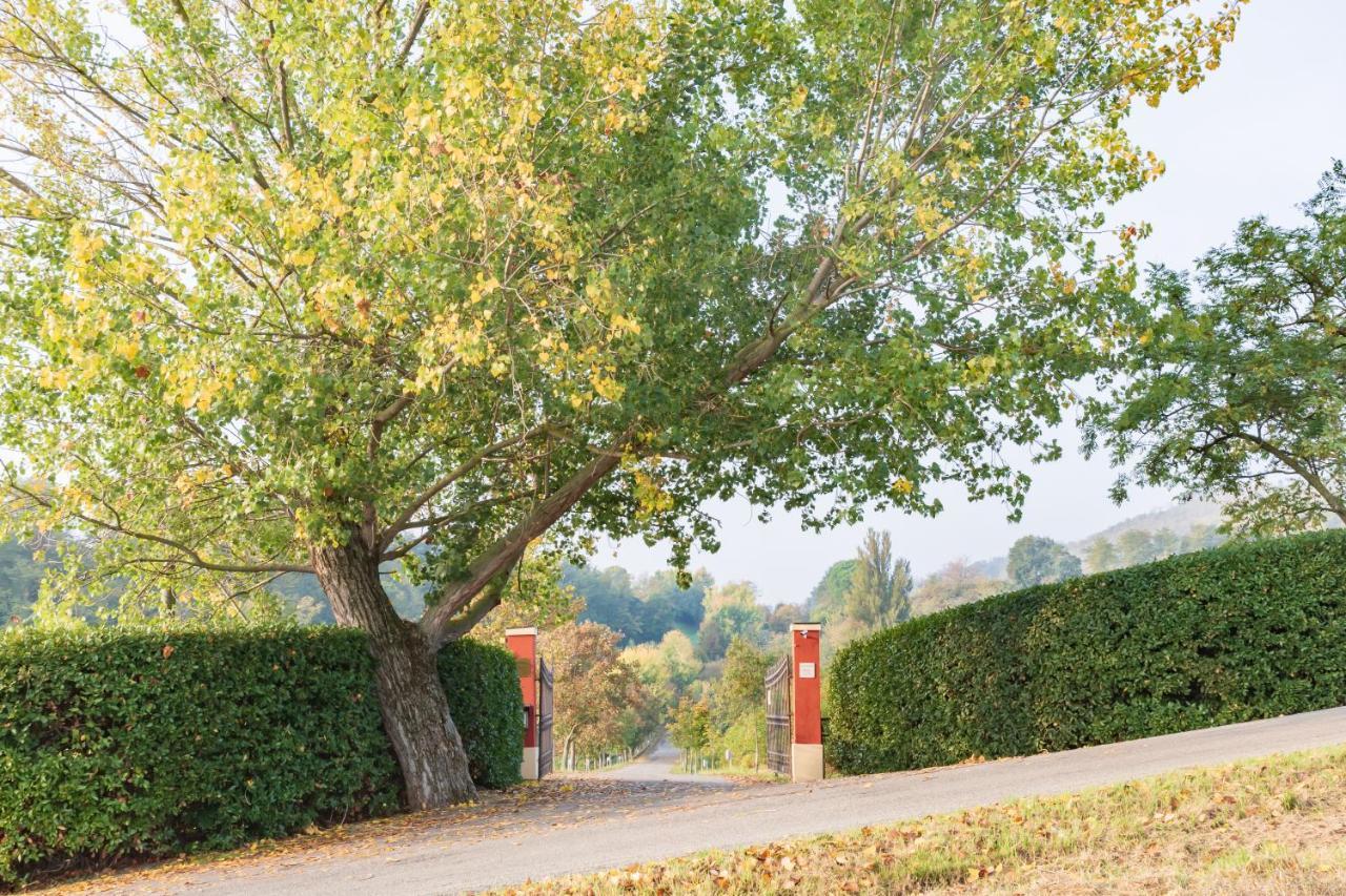 Ca Palazzo Malvasia - Bolognarooms Sasso Marconi Bagian luar foto